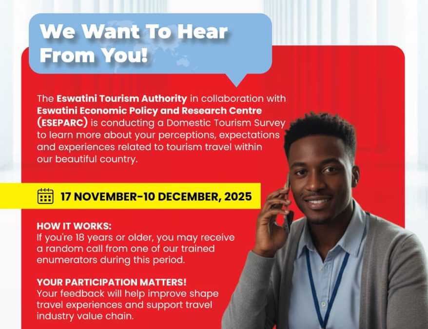 Domestic Tourism Survey 2025